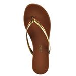 Tkees-DuosGoldenCoco-Coco---3