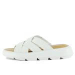 Footnotes-Cleary-White---4